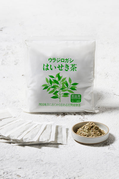 ウラジロガシはいせき茶 – Senkintan
